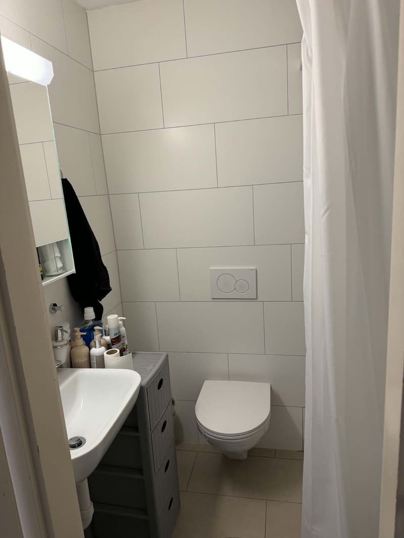 3-Zimmer-Wohnung in St. Gallen Nachmieter gesucht 3.5-Zimmer-Wohnung in St. Gallen Wir suchen ab sofort einen Nachmieter für unsere gemütliche 3.5-Zimmer-Wohnung im Erdgeschoss in St. Gallen. 3.5 Zimmer St. Gallen Erdgeschoss Balkon Waschmaschine im (8)