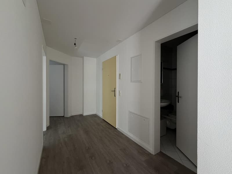 Grosszügige renovierte 4,5-Zimmer-Wohnung (110 m²) mit zwei Balkonen in Teufen (9)