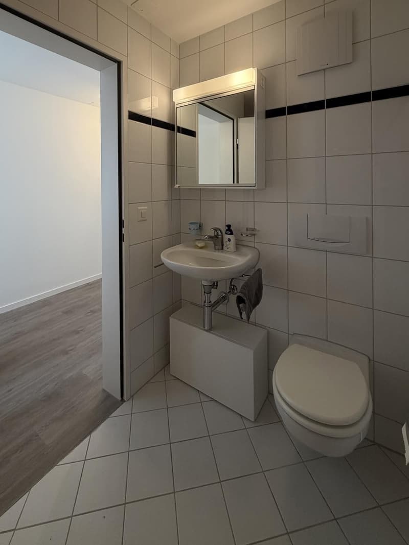 Grosszügige renovierte 4,5-Zimmer-Wohnung (110 m²) mit zwei Balkonen in Teufen (4)