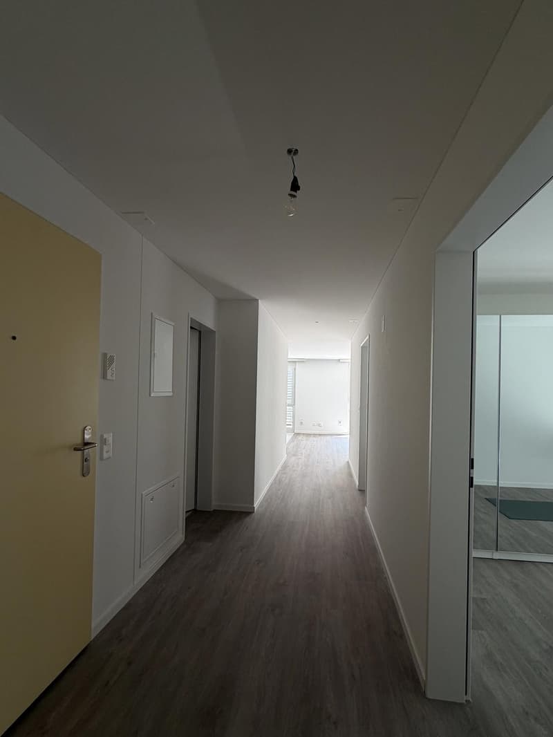 Grosszügige renovierte 4,5-Zimmer-Wohnung (110 m²) mit zwei Balkonen in Teufen (8)