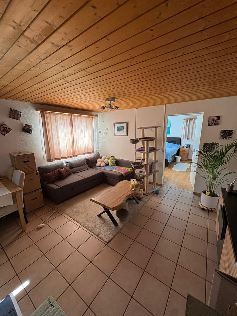 Charmante Wohnung zum vermieten (7)