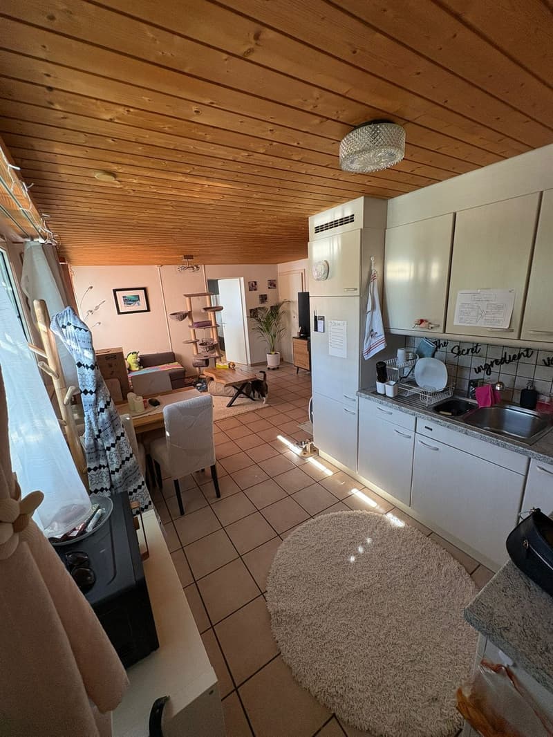 Charmante Wohnung zum vermieten (6)