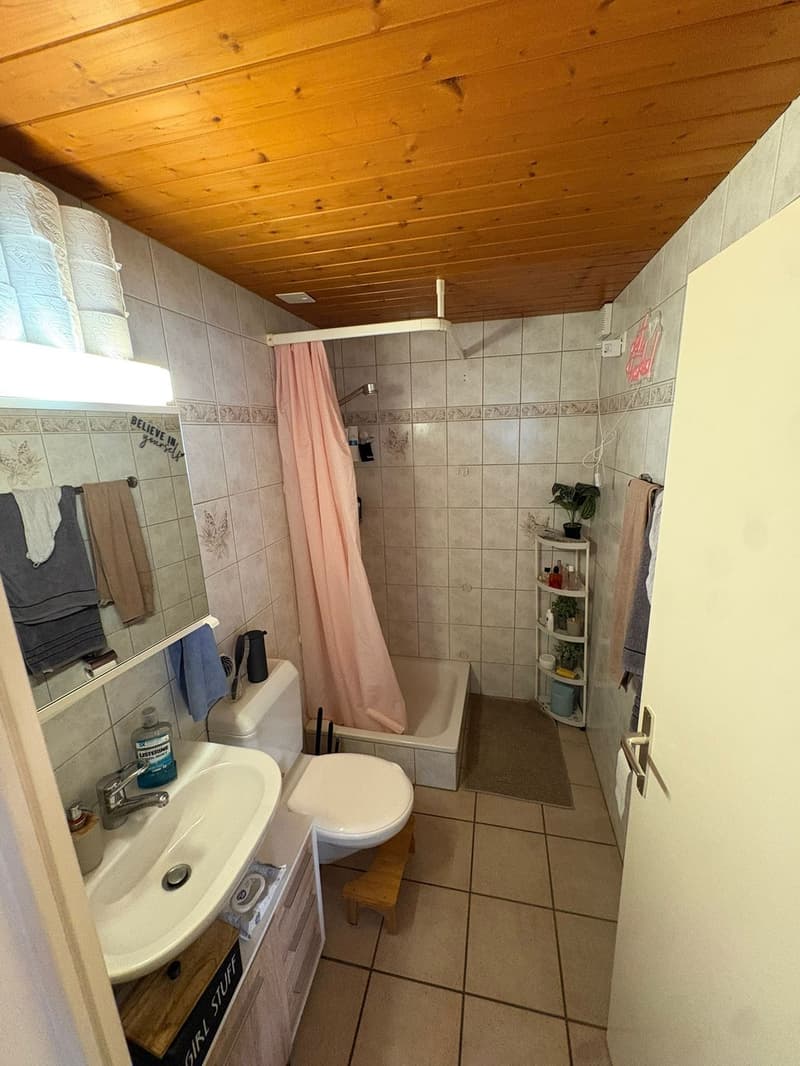 Charmante Wohnung zum vermieten (3)