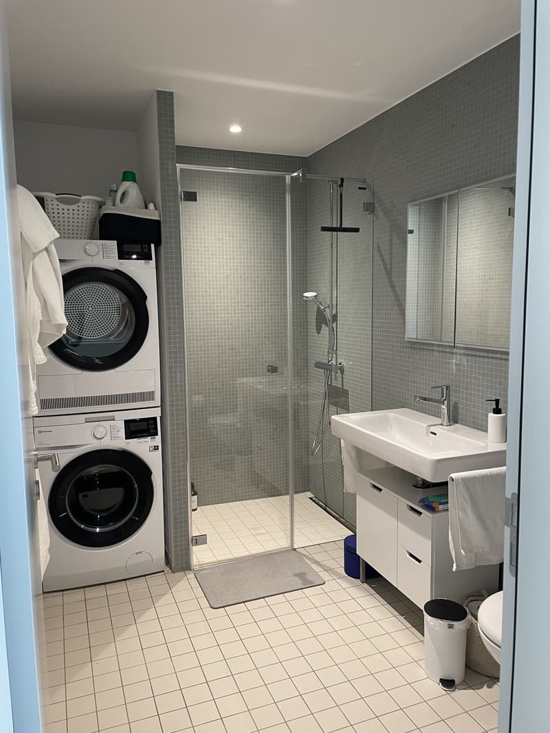 3.5 Zimmerwohnung im Erdgeschoss (9)
