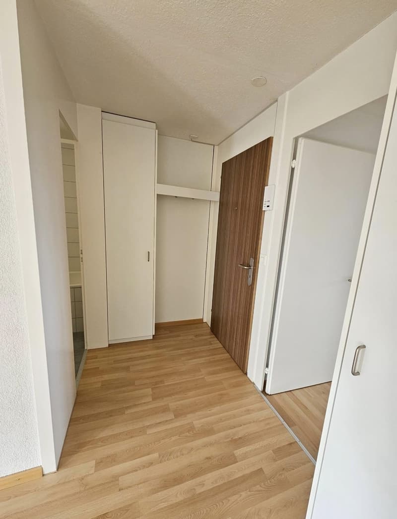 Helle 3.5 Zimmerwohnung an guter Lage (4)