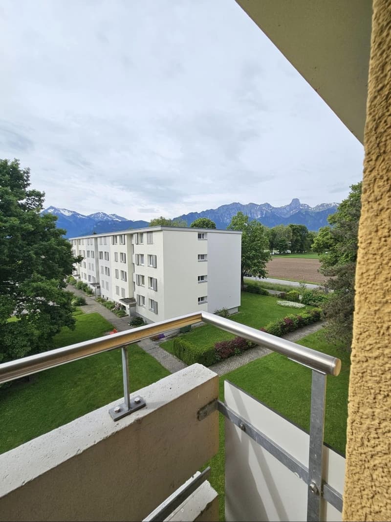 Helle 3.5 Zimmerwohnung an guter Lage (7)