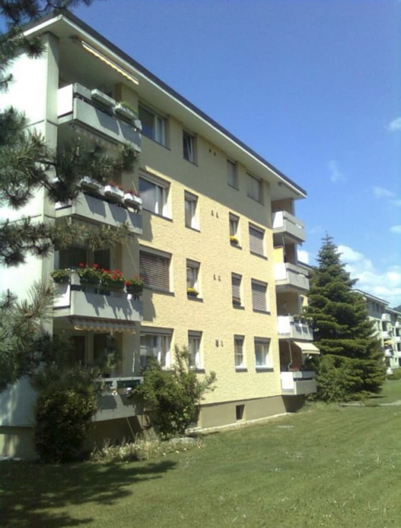 Helle 3.5 Zimmerwohnung an guter Lage (6)