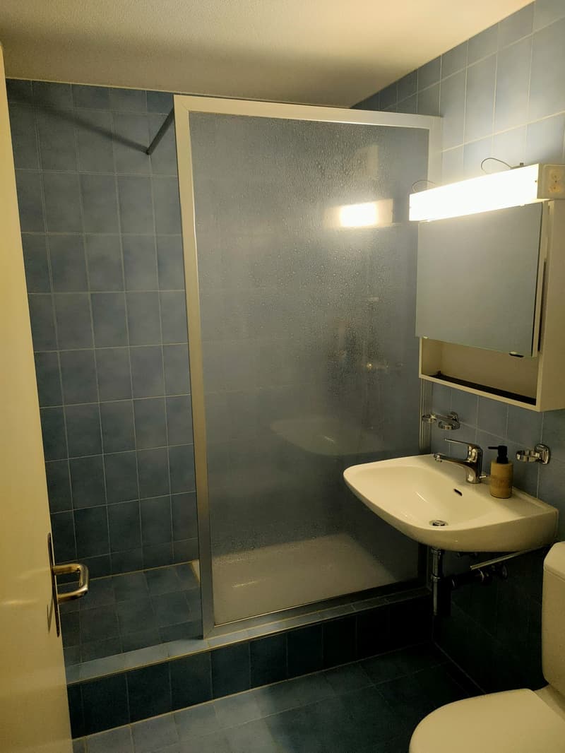 4.5 Zimmer-Wohnung an toller Lage (6)