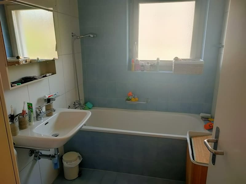4.5 Zimmer-Wohnung an toller Lage (4)