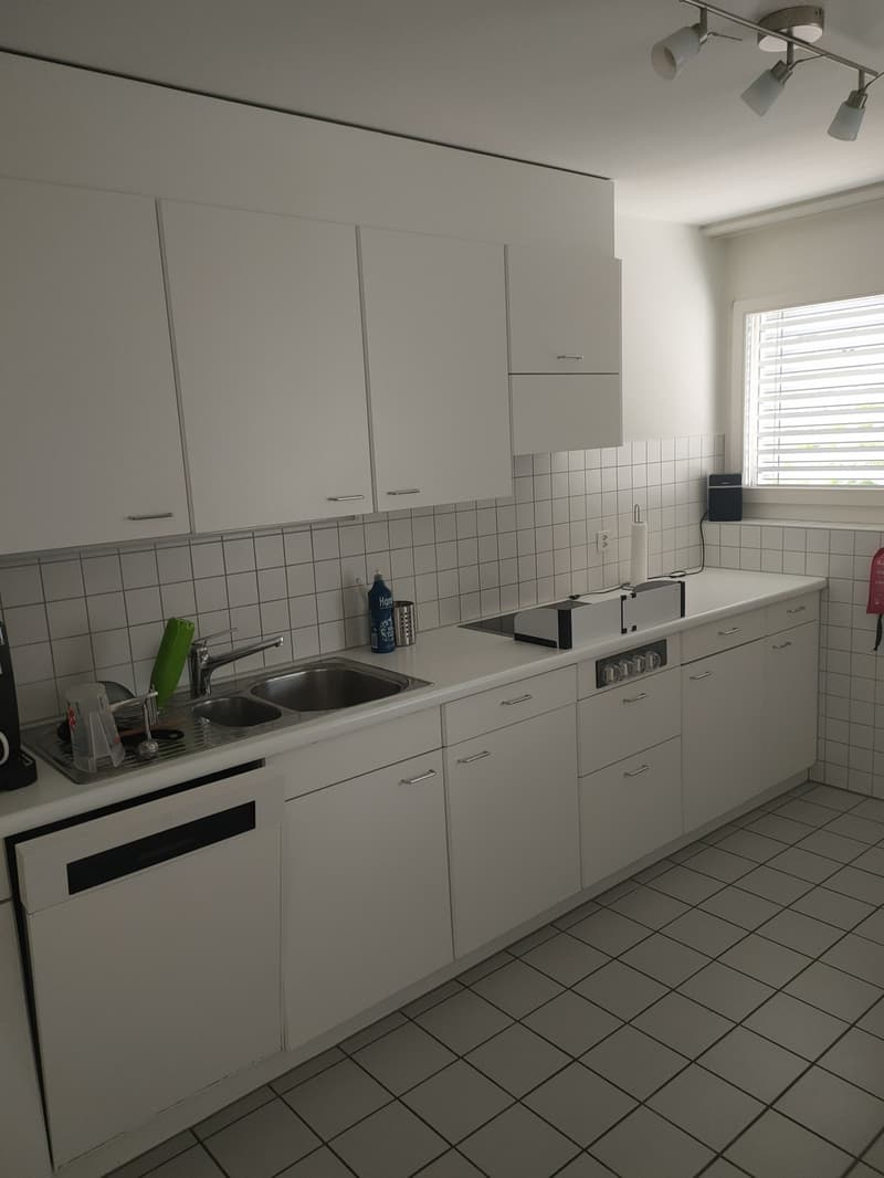4.5 Zimmer-Wohnung an toller Lage (3)