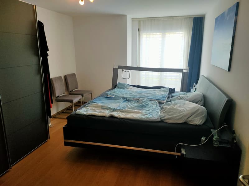 4.5 Zimmer-Wohnung an toller Lage (7)