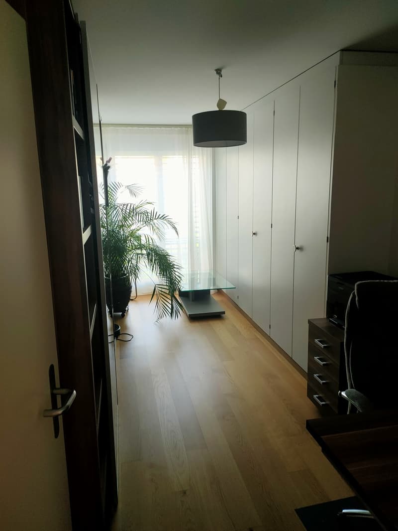 4.5 Zimmer-Wohnung an toller Lage (2)