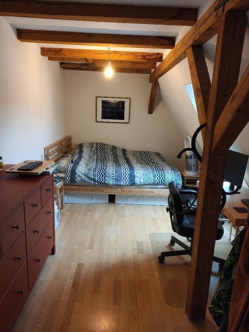 Charmante und helle Dachwohnung mit Holzbalken (4)