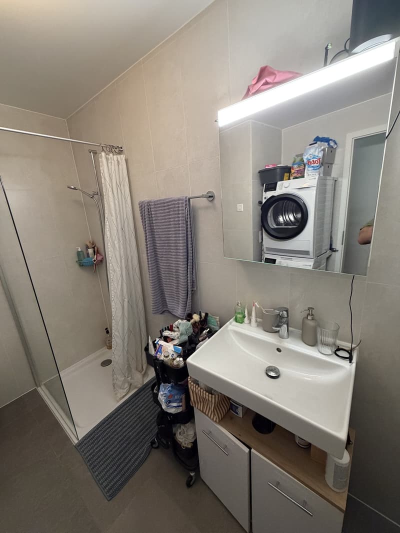 3.5 pièces moderne et lumineux en bordure de forêt de Sauvabelin (4)