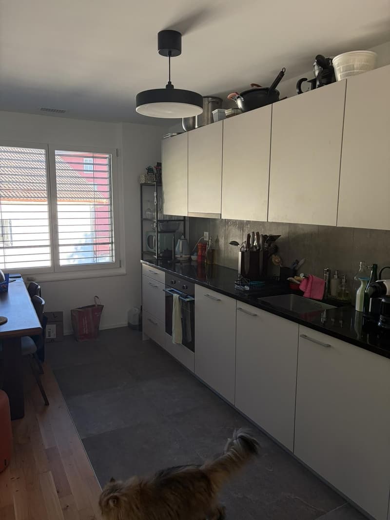 3.5 pièces moderne et lumineux en bordure de forêt de Sauvabelin (3)
