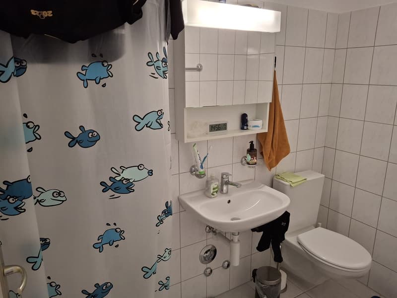 4 ½ Zimmer-Wohnung, 8107 Buchs (1)