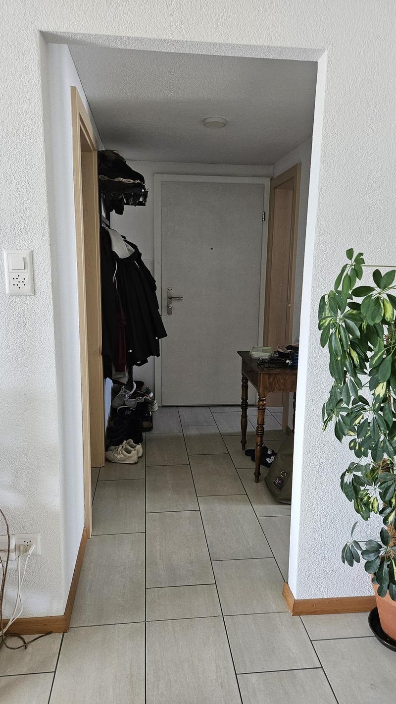 Sonnige Wohnung in ruhigem Quartier (7)