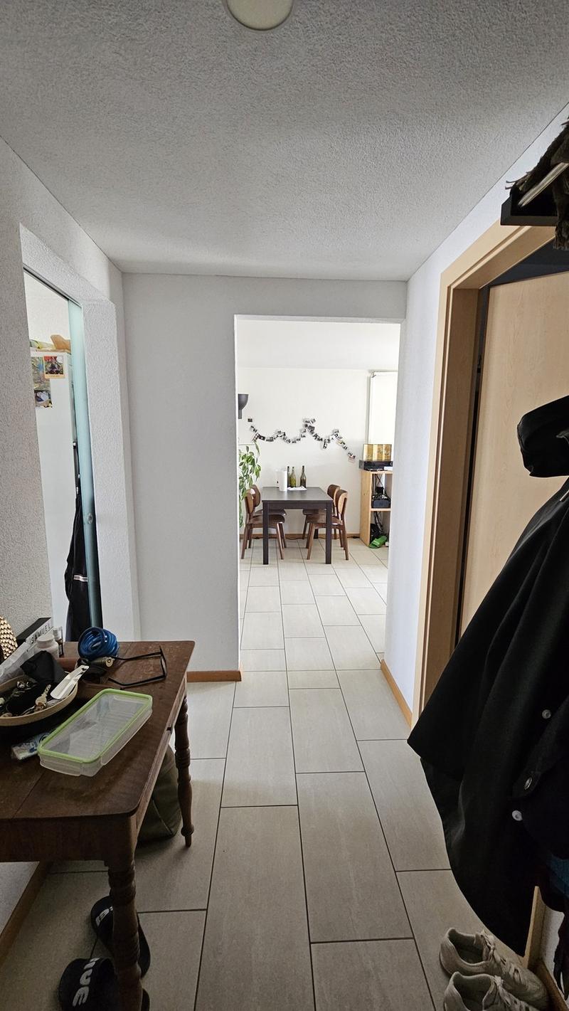 Sonnige Wohnung in ruhigem Quartier (8)