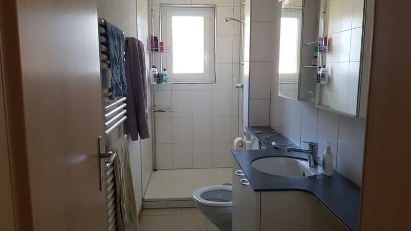 Sonnige Wohnung in ruhigem Quartier (5)
