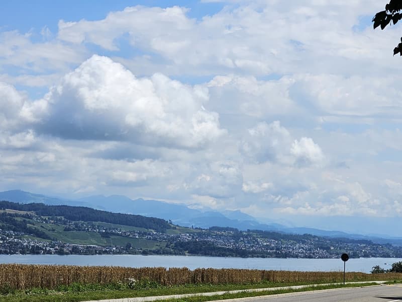 WG Zimmer, 8820 wädenswil (ZürichSee) (9)