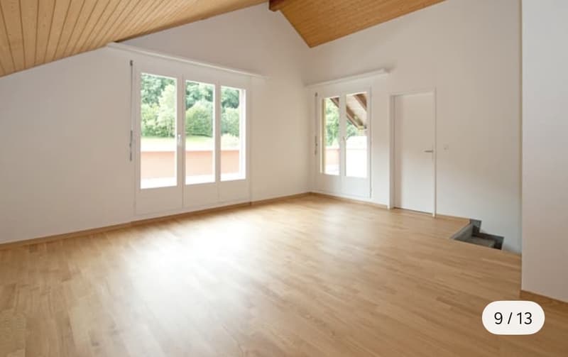 Wunderschöne Maisonettewohnung mit traumhafter Dachterrasse in Spreitenbach (1)