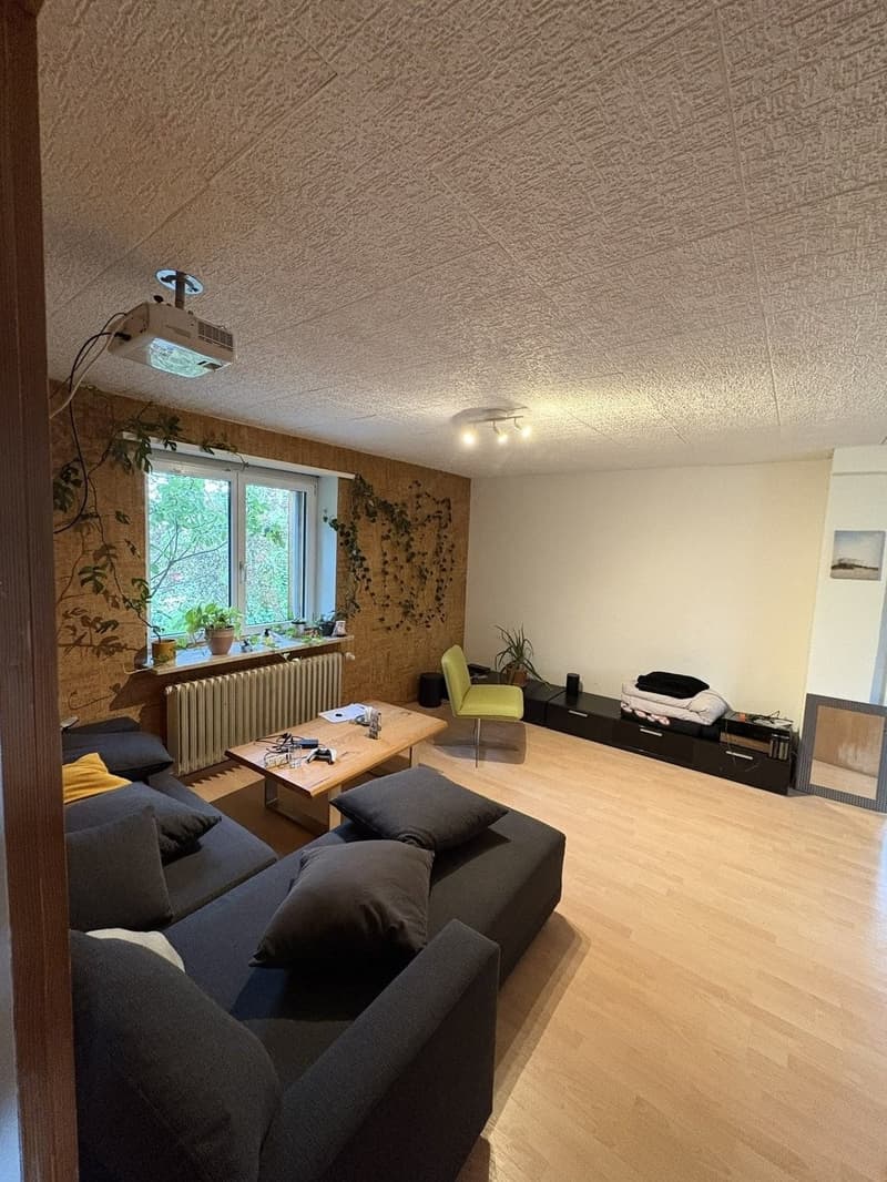 WG in Dietikon mit grossem Garten (1)