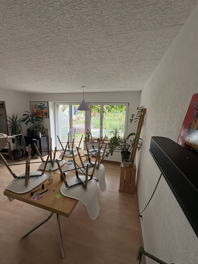 WG in Dietikon mit grossem Garten (2)