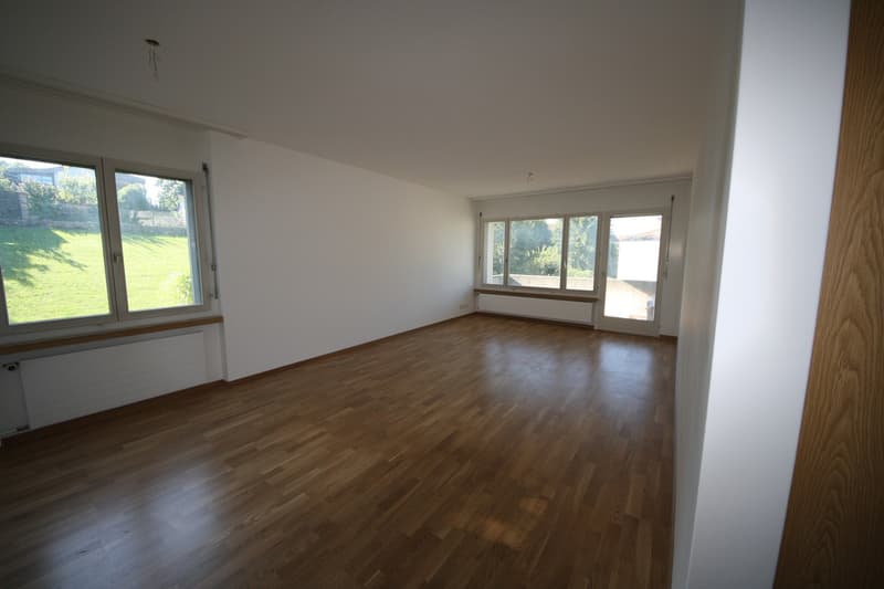 grosszügige 3.5 Zimmer-Wohnung an ruhiger Lage zu vermieten (1)