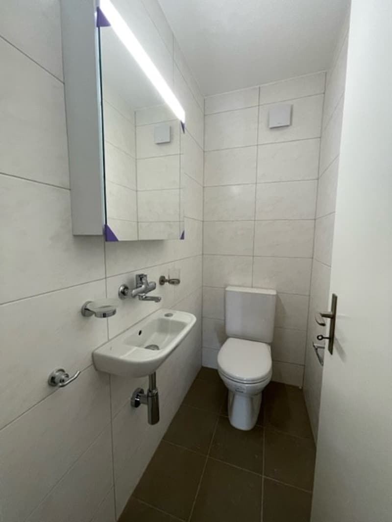 grosszügige 3.5 Zimmer-Wohnung an ruhiger Lage zu vermieten (9)