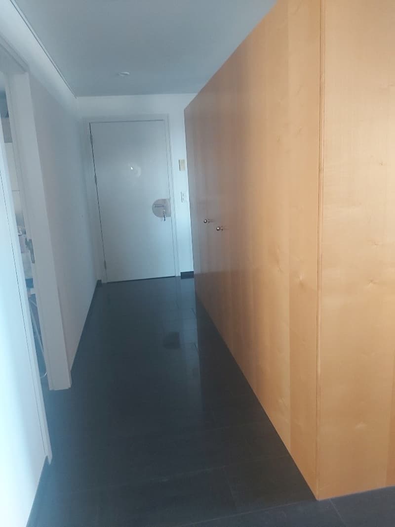 Sonnige 3.5-Zimmer-Terrassenwohnung mit Skyline-Blick über Zug (1)