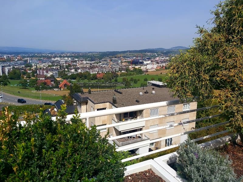 Sonnige 3.5-Zimmer-Terrassenwohnung mit Skyline-Blick über Zug (6)
