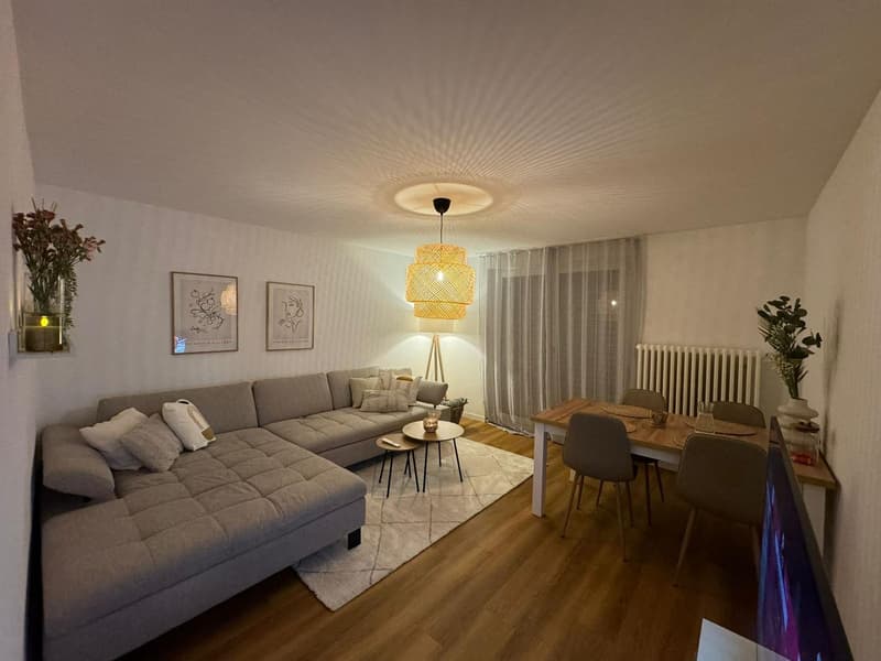 Nachmieter gesucht per 01.12.2026 3.5-Zimmer-Wohnung in Frauenfeld (1)