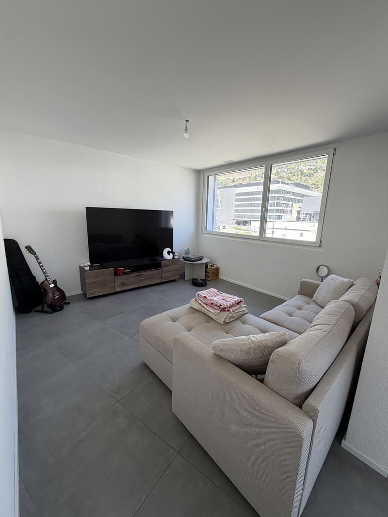 2.5 apartment Visp (2)
