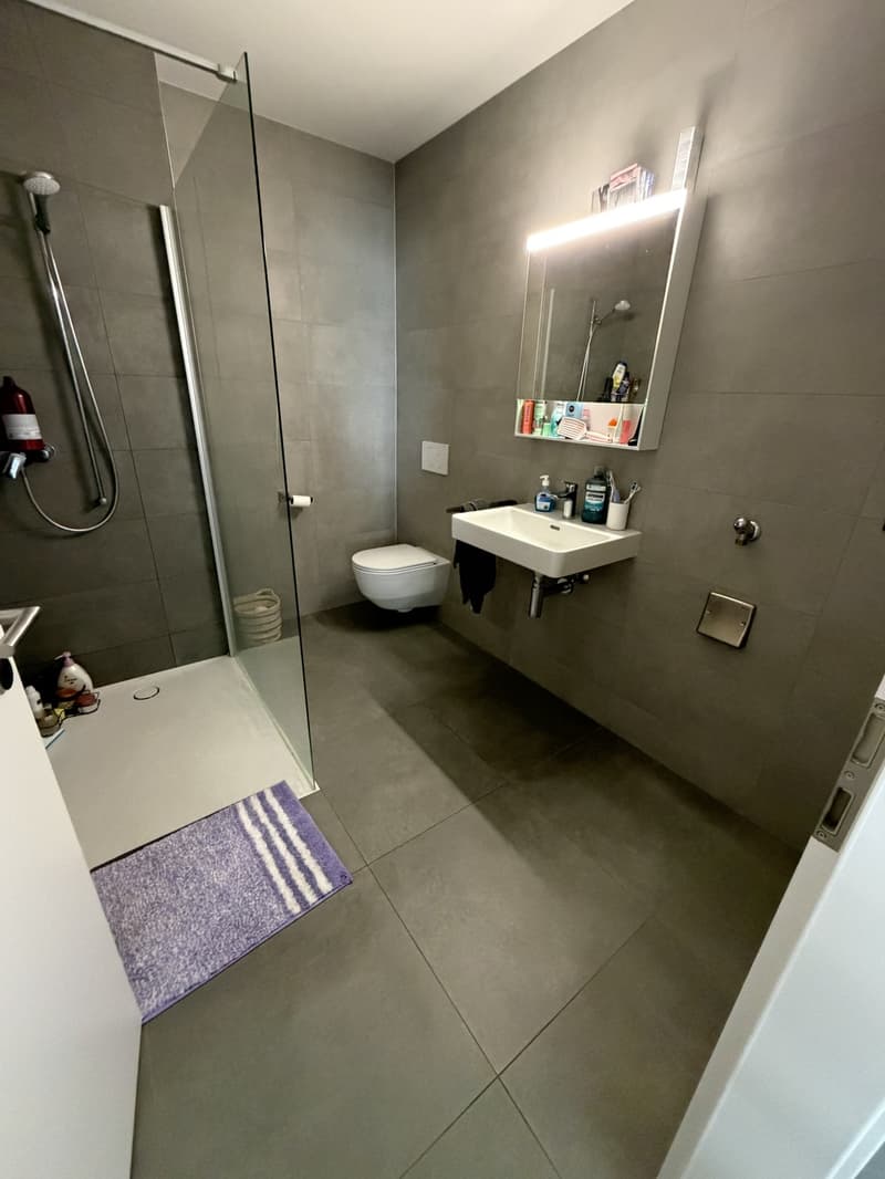 2.5 apartment Visp (4)