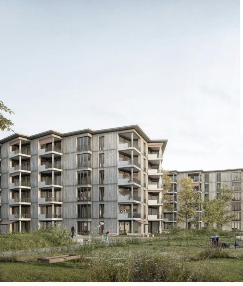 3 ½ Zimmer-Wohnung, 8302 Kloten (2)