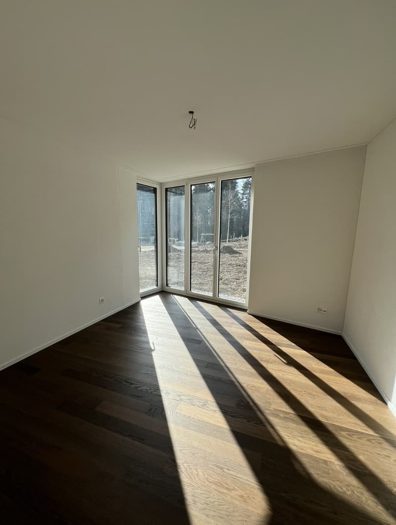 3 ½ Zimmer-Wohnung, 8302 Kloten (1)