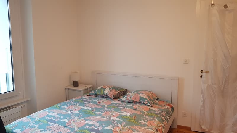 Colocation international dans un duplex au centre ville (2)