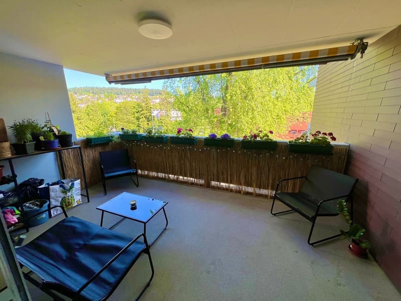 3-Zimmerwohnung mit grossem, sonnigem Balkon (4)