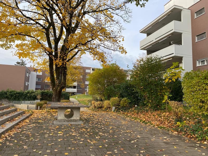 3-Zimmerwohnung mit grossem, sonnigem Balkon (6)