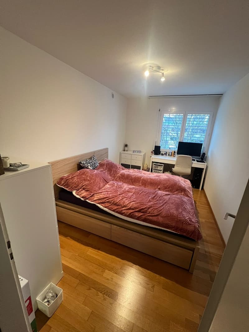 3-Zimmerwohnung mit grossem, sonnigem Balkon (5)