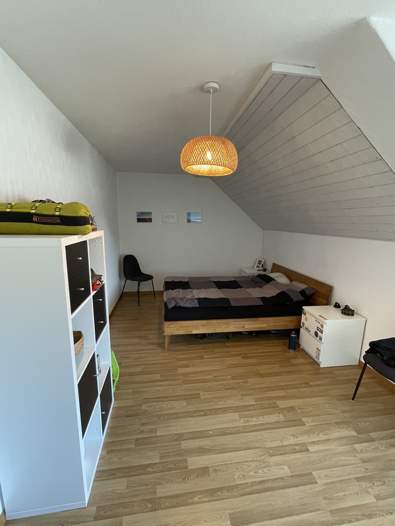 Grosse 2 Zimmerwohnung (4)