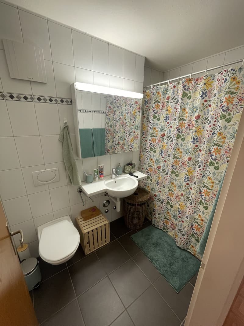 Grosse 2 Zimmerwohnung (6)