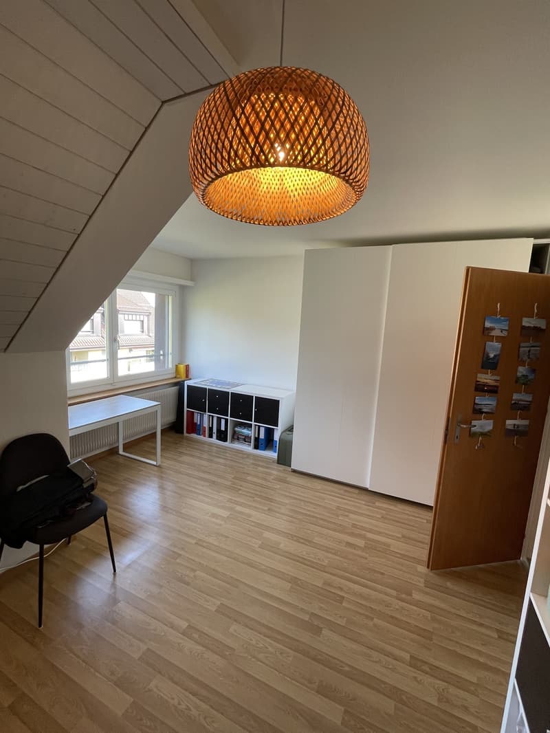 Grosse 2 Zimmerwohnung (5)