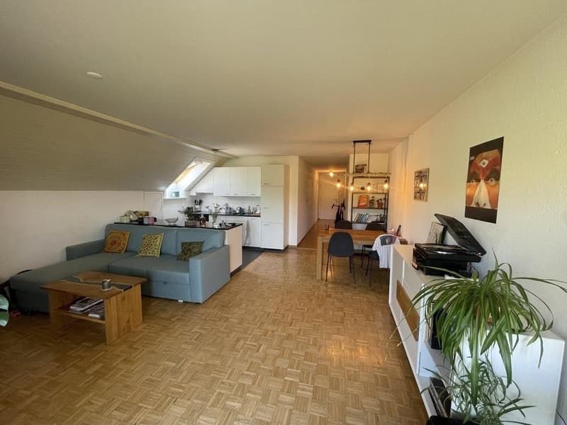 Grosse 2 Zimmerwohnung (1)