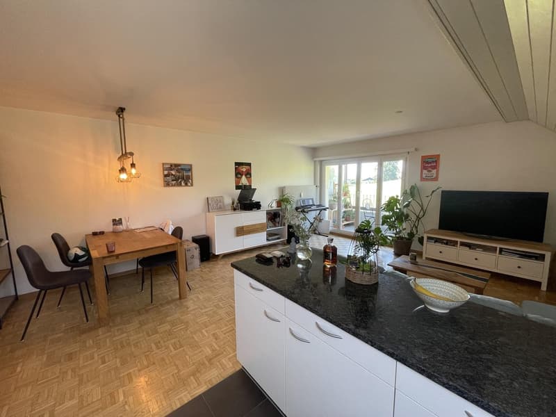 Grosse 2 Zimmerwohnung (2)
