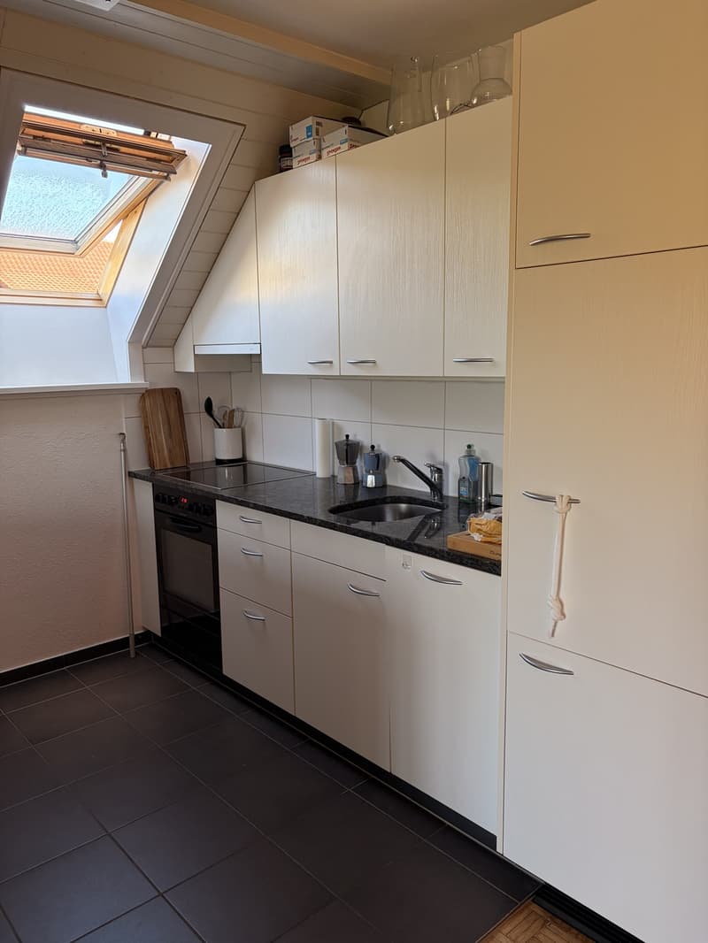 Grosse 2 Zimmerwohnung (3)
