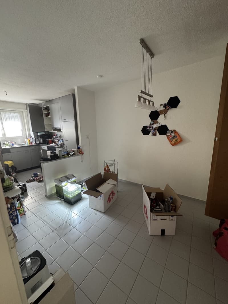 schöne 2.5 Zimmer Wohnung (4)