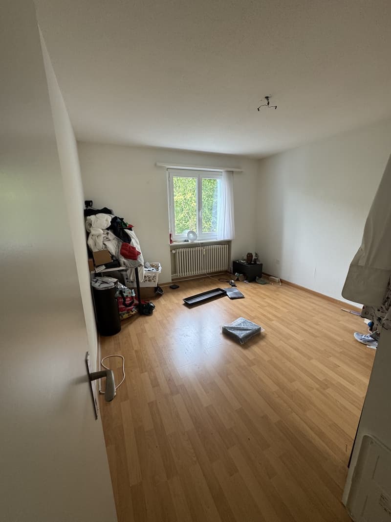 schöne 2.5 Zimmer Wohnung (3)