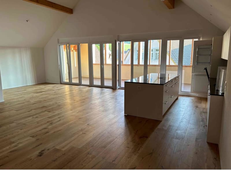 Nachmieter gesucht: 2.5-Zimmer-Dachwohnung mit grossem Balkon und Galerie (1)