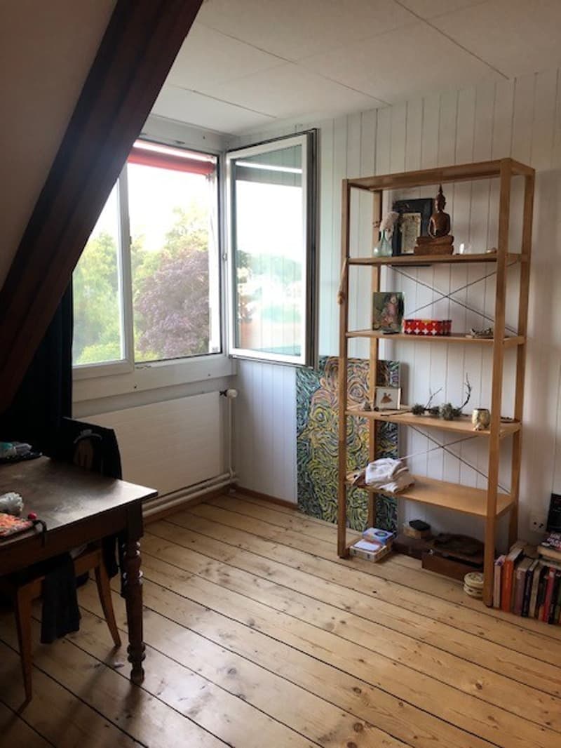 Charmantes Dachzimmer in schöner Villa in Allschwil  Mitbewohnerin gesucht! (4)